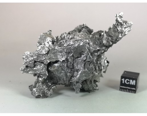 Dronino Meteorite