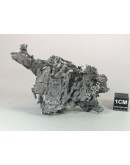 Dronino Meteorite